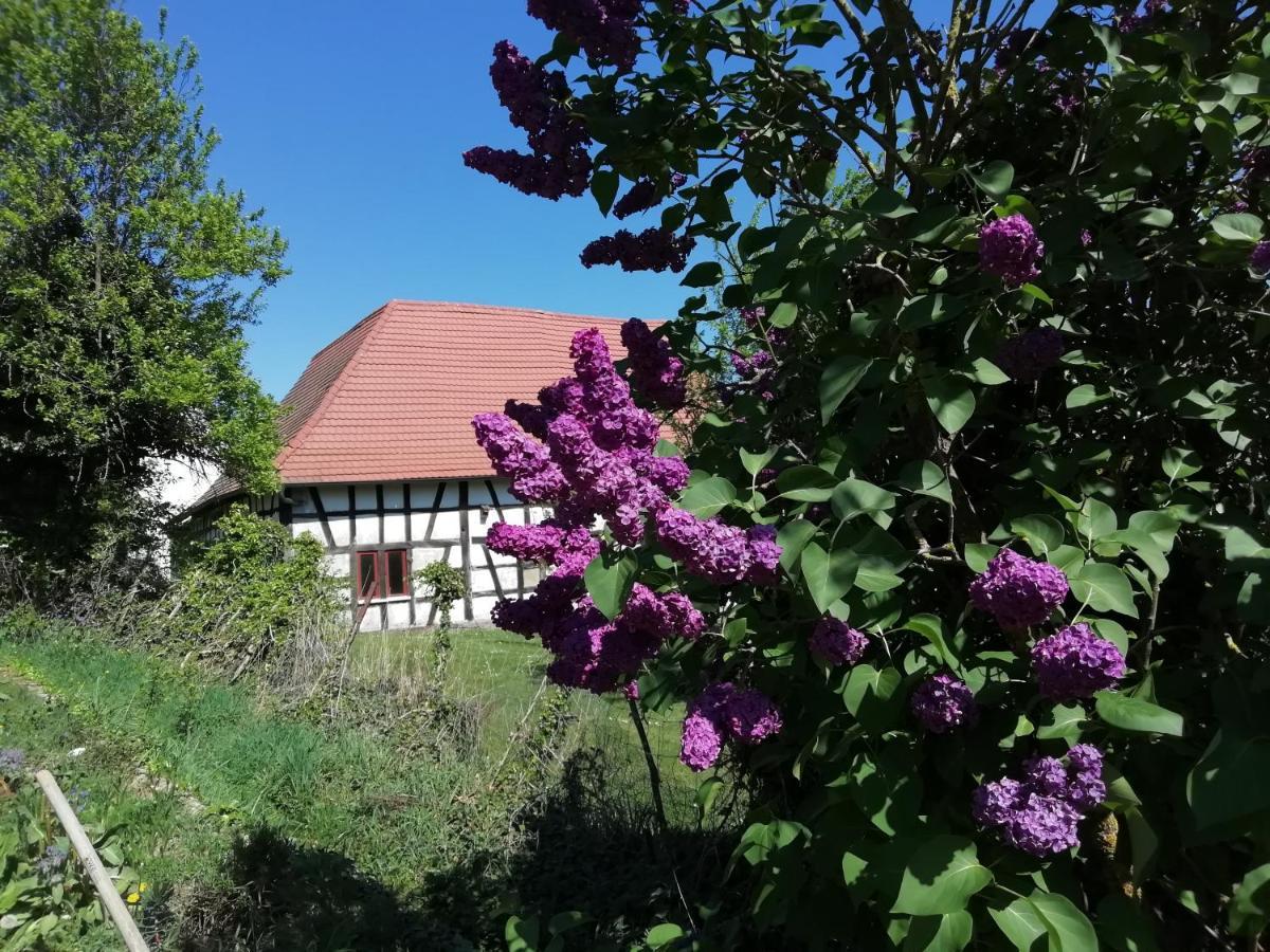 Gite Rue De L'Ange Hunspach Екстер'єр фото