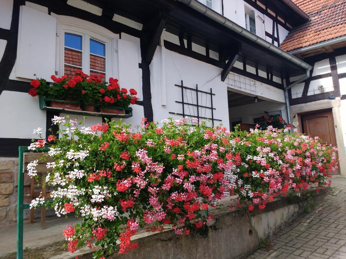 Gite Rue De L'Ange Hunspach Екстер'єр фото
